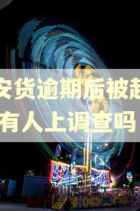 众安货逾期后被起诉,会有人上调查吗
