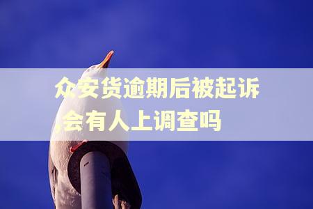 众安货逾期后被起诉,会有人上调查吗