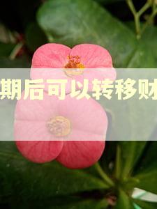 逾期后可以转移财产吗