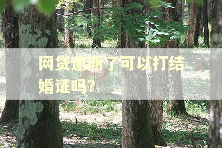 网贷逾期了可以打结婚证吗? 网贷逾期了可以打结婚证吗?