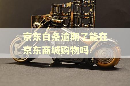 京东白条逾期了能在京东商城购物吗