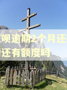 花呗逾期2个月还款后还有额度吗