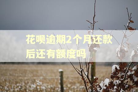 花呗逾期2个月还款后还有额度吗 花呗逾期2个月还款后还有额度吗