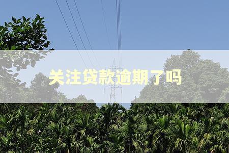 关注贷款逾期了吗