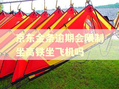 京东金条逾期会限制坐高铁坐飞机吗