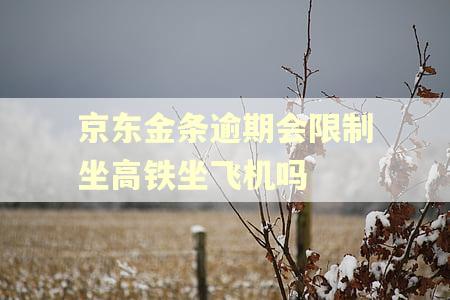 京东金条逾期会限制坐高铁坐飞机吗