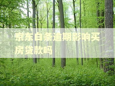 京东白条逾期影响买房贷款吗