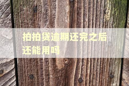 拍拍贷逾期还完之后还能用吗