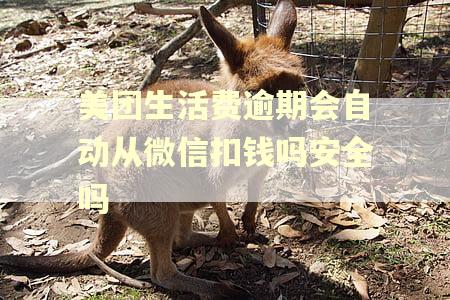 美团生活费逾期会自动从微信扣钱吗安全吗
