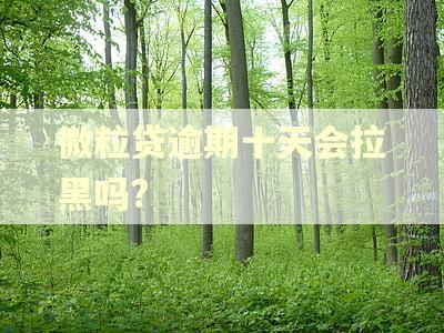 微粒贷逾期十天会拉黑吗?