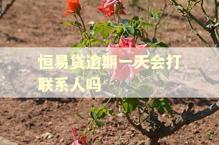 恒易贷逾期一天会打联系人吗