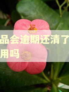 唯品会逾期还清了还能用吗