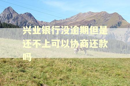兴业银行没逾期但是还不上可以协商还款吗