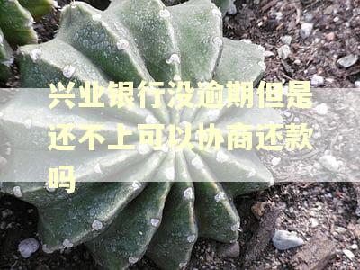 兴业银行没逾期但是还不上可以协商还款吗
