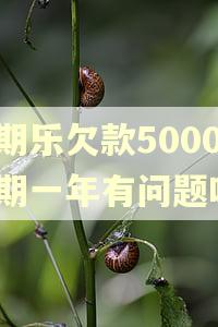 分期乐欠款5000逾期一年有问题吗?