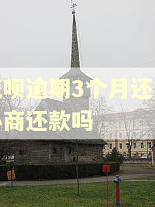 花呗逾期3个月还能协商还款吗