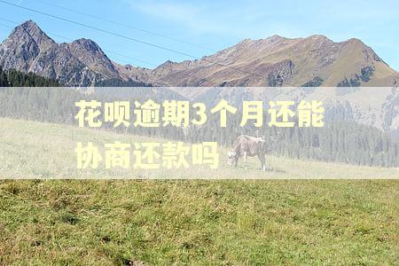 花呗逾期3个月还能协商还款吗