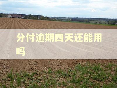 分付逾期四天还能用吗