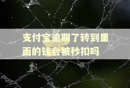 支付宝逾期了转到里面的钱会被秒扣吗