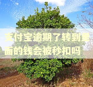 支付宝逾期了转到里面的钱会被秒扣吗 支付宝逾期了转到里面的钱会被秒扣吗
