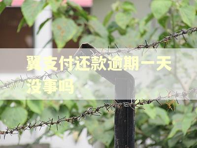 翼支付还款逾期一天没事吗