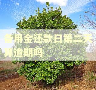 备用金还款日第二天算逾期吗 备用金还款日第二天算逾期吗