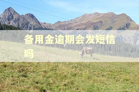 备用金逾期会发短信吗 备用金逾期会发短信吗