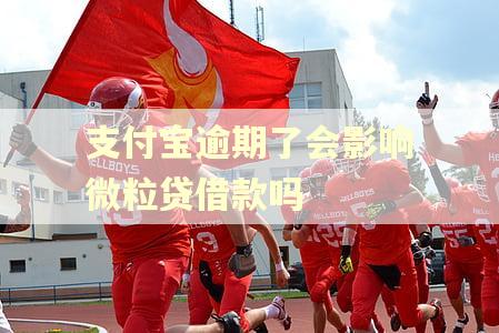支付宝逾期了会影响微粒贷借款吗