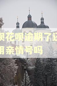 借呗花呗逾期了还可以用亲情号吗 借呗花呗逾期了还可以用亲情号吗