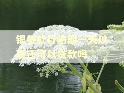 银贷款行逾期一天以后还可以贷款吗