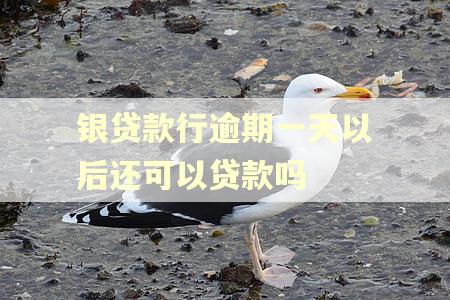 银贷款行逾期一天以后还可以贷款吗