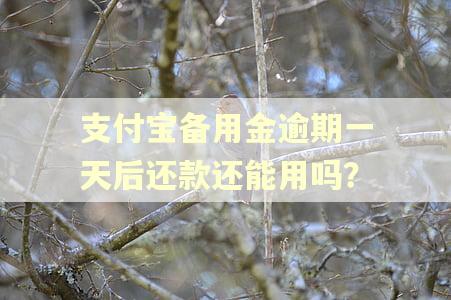 支付宝备用金逾期一天后还款还能用吗？