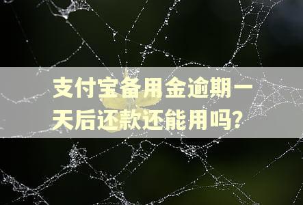支付宝备用金逾期一天后还款还能用吗？