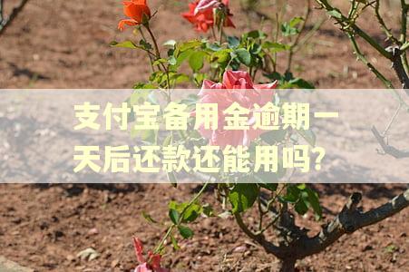 支付宝备用金逾期一天后还款还能用吗? 支付宝备用金逾期一天后还款还能用吗?