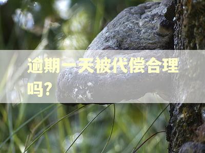 逾期一天被代偿合理吗?