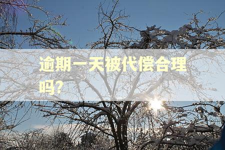 逾期一天被代偿合理吗?
