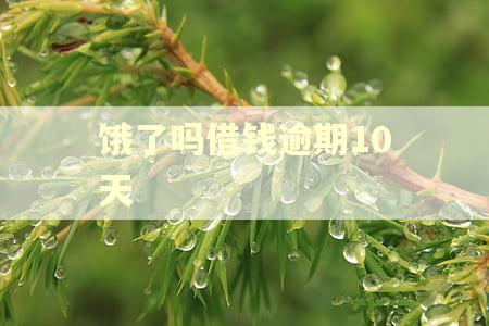 饿了吗借钱逾期10天