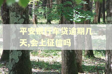 平安银行车贷逾期几天,会上征信吗