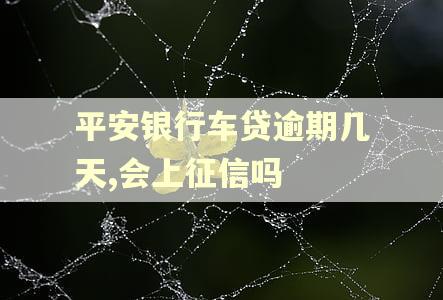 平安银行车贷逾期几天,会上征信吗 平安银行车贷逾期几天,会上征信吗