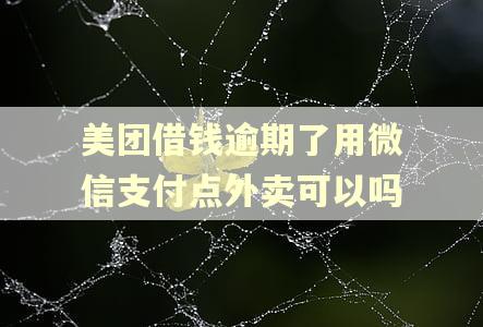 美团借钱逾期了用微信支付点外卖可以吗