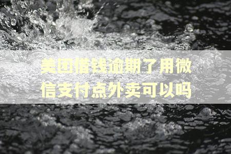 美团借钱逾期了用微信支付点外卖可以吗 美团借钱逾期了用微信支付点外卖可以吗