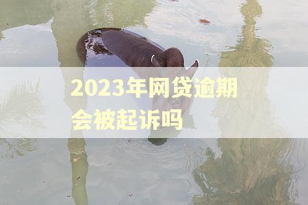 2023年网贷逾期会被起诉吗