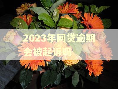2023年网贷逾期会被起诉吗