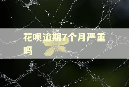 花呗逾期7个月严重吗