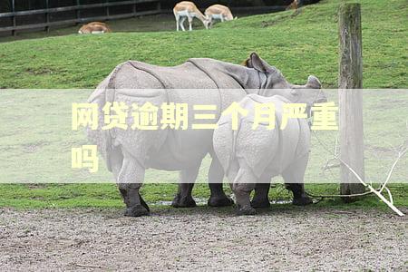 网贷逾期三个月严重吗