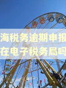 上海税务逾期申报可以在电子税务局吗 上海税务逾期申报可以在电子税务局吗