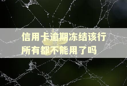 信用卡逾期冻结该行所有都不能用了吗