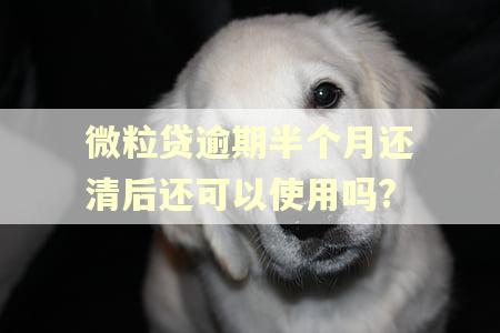 微粒贷逾期半个月还清后还可以使用吗?