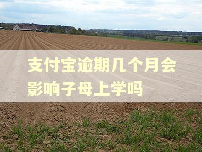 支付宝逾期几个月会影响子母上学吗