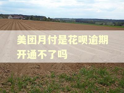 美团月付是花呗逾期开通不了吗
